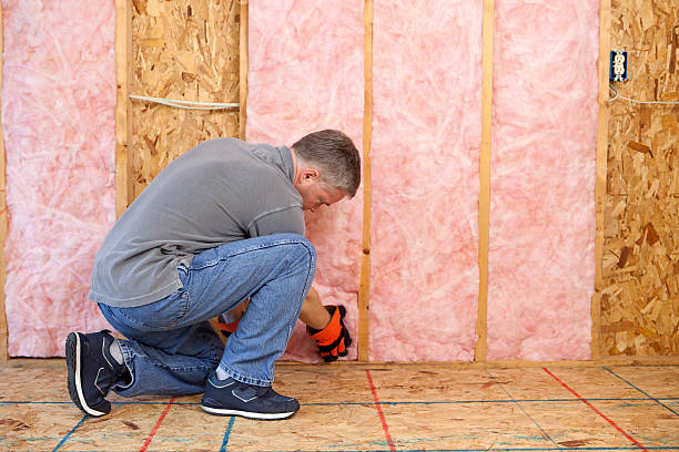 Best Insulation Installation Services in Rib Mountain, WI