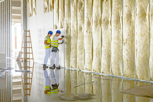 Best Types of Insulation in Rib Mountain, WI